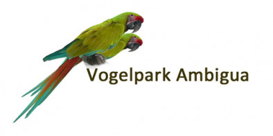 Vogelpark Ambigua