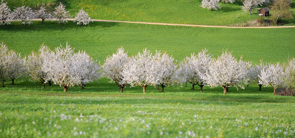 Newsletter Frühling 2026