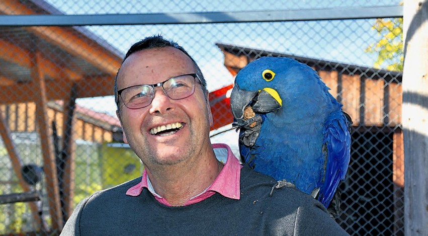 Rolf Lanz mit einem seiner gefiederten Schützlinge.